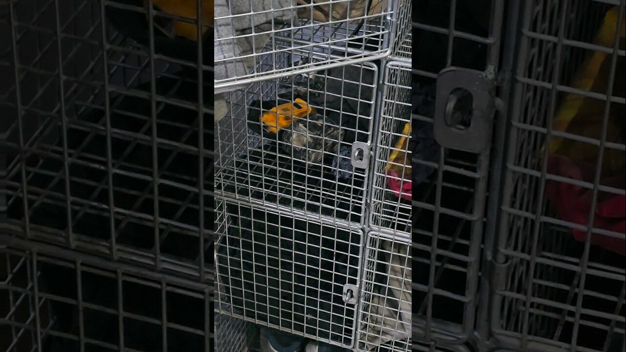 On this site no thief&#39;s operating! Wow!
