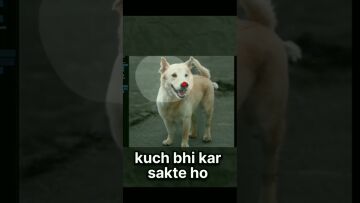 #pleasesubscribemychannel #tachnogamerz #thanksforwatching #webside #pleasesubscribemychannel