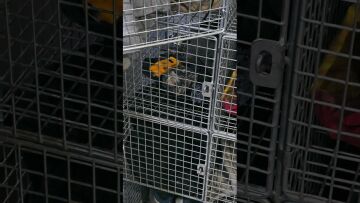 On this site no thief&#39;s operating! Wow!