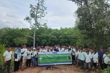 Thiess celebrates World Environment Day in Indonesia with restoration efforts 