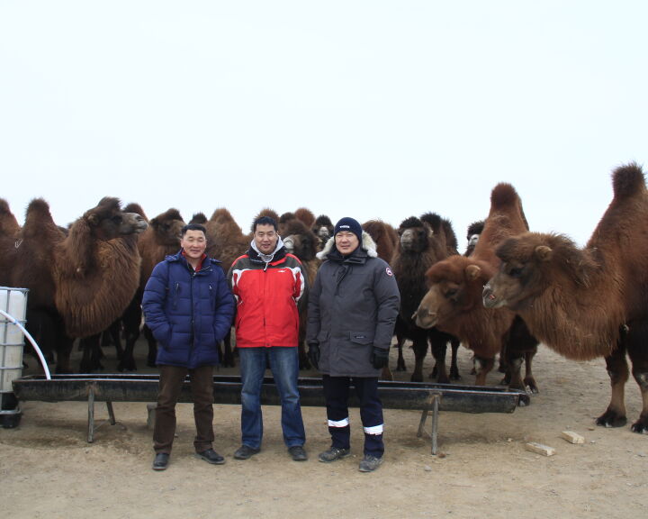 Improving access to water and healthcare in Mongolia 